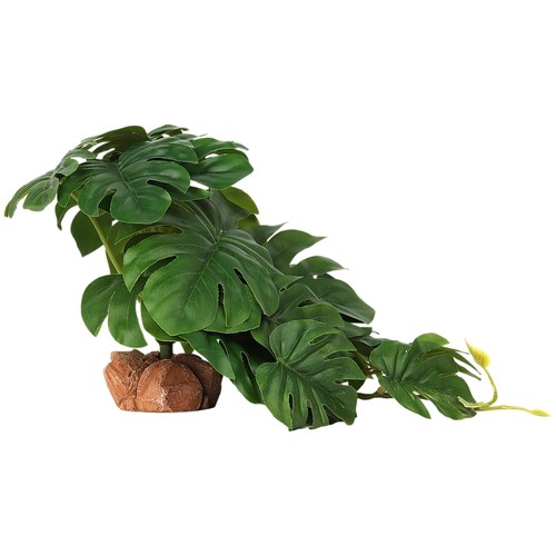 Woledoe reptile plants for - woledoe,