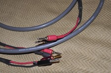 Cables Speaker Cardas -