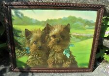  chromo lithographie chien yorkshire Charles Henry Blair encadrée DN2257