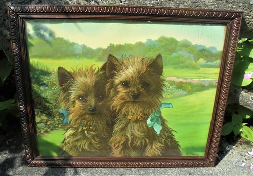 Chromo lithographie chien - ,