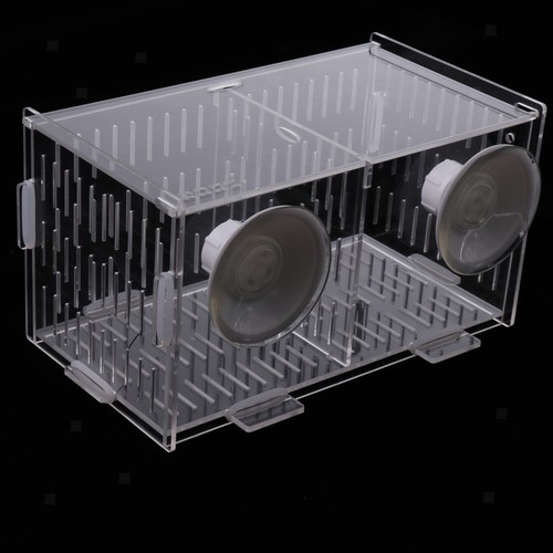 Boîte élevage pour - boîte,