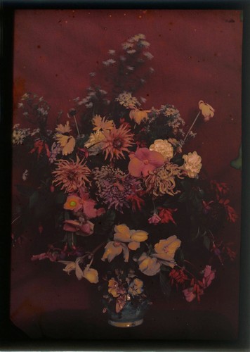 Autochrome 13x18 composition - 13x18,