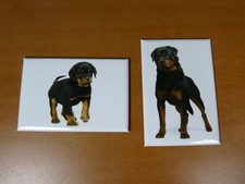 lot 2 Magnets / aimants 7,8 cm