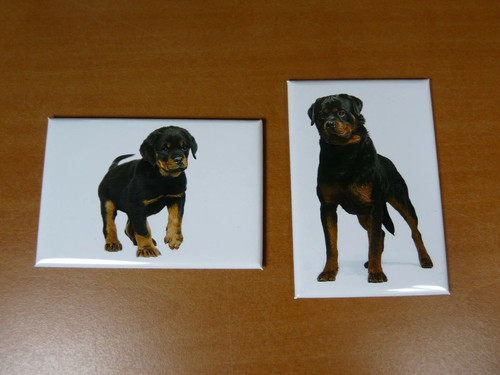Lot magnets aimants - /,