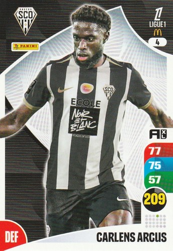 Carte foot panini - n°,