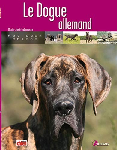 Dogue allemand collectif - |,