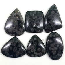 6 Pcs De Corail Fossile Noir Naturel 34-44Mm Gemmes Cabochon Non Traitées Lot