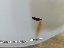 Malle/Hayon arriere FIAT BRAVO