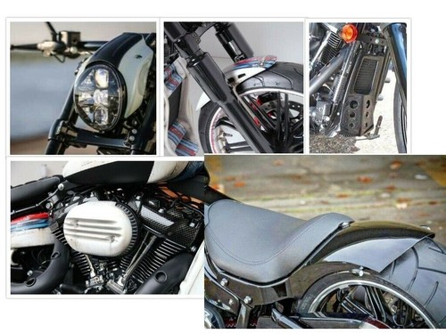 Harley davidson softail - harley,