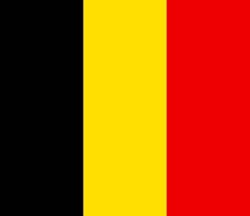 Drapeau Belgique (35 x 30 cm)