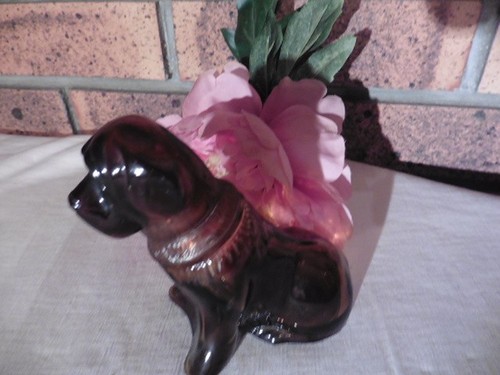 Bouteille verre forme - forme, chien
