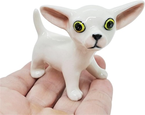 White chihuahua dog - 1",