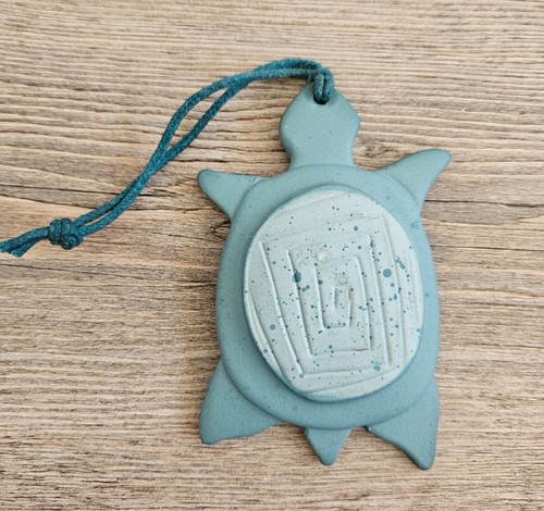 Tortue amerindienne grand - amerindienne,