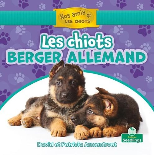 Les chiots berger - berger, allemand