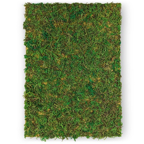 Plaque mousse verte a4 - plaque, de