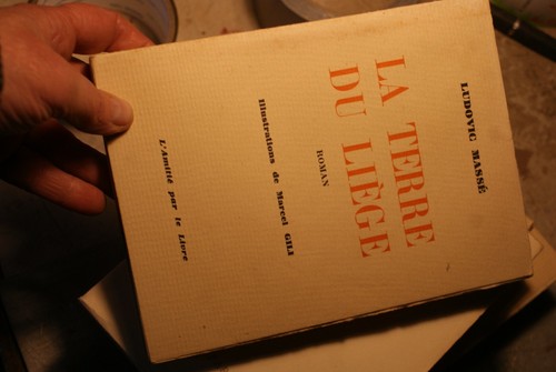 Ludovic masse terre du - ludovic, "la