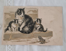 CPA CARTE POSTALE  1900  CHATS