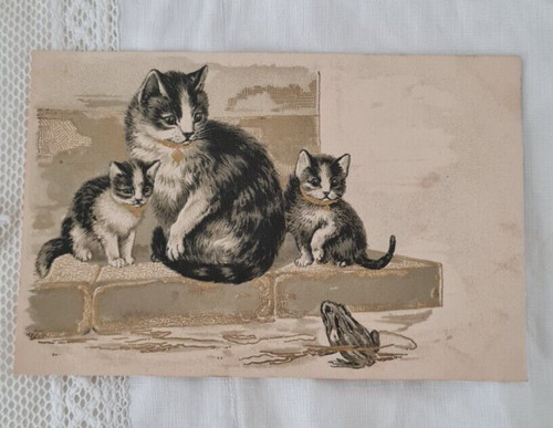 Cpa carte postale 1900 - 1900, chats