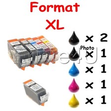 Jeu 6 cartouches génériques pour imprimantes Canon ( Encres série 520/521 XL )
