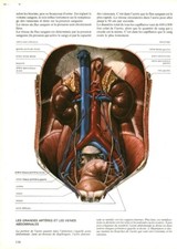 Cabinet de curiosité anatomie humaine grandes artères issue de livre 1983