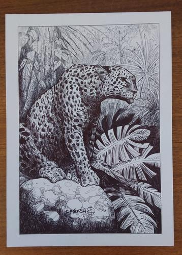Dessin encre original - , –