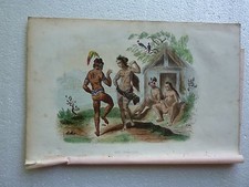 Gravure couleurs xixe iles - xixe,
