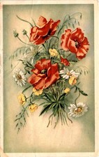 Tam S 16XI 4 1955 Man J M Boer Molger dish 2 Wen bever Postcard