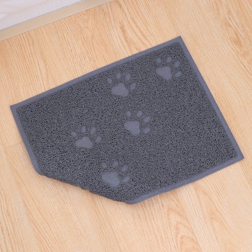 Pet chiot chien - chiot,