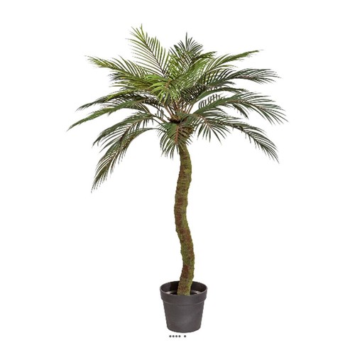 Palmier phoenix artificiel - phoenix,
