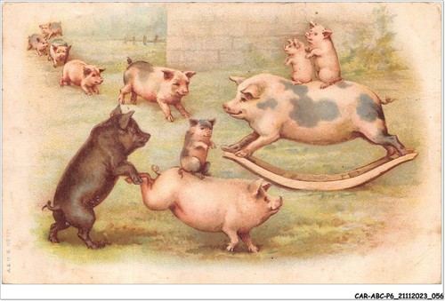 Car abcp6 0507 pigs a - -,
