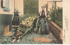 MIKIFP7-021- BELGIQUE BRUXELLES VOITURE A CHIEN LAITIERES