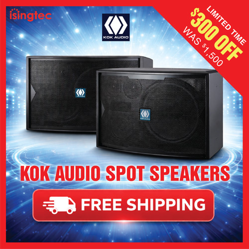 Kok audio spot 2000w - kok,