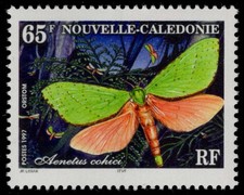 NEW CALEDONIA 761c - Splendid Ghost Moth "Aenetus cohici" (pc38264)