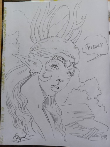 Les mondes thorgal - bd,