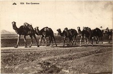 Old postcard AK ALGERIA A Caravan (874715)