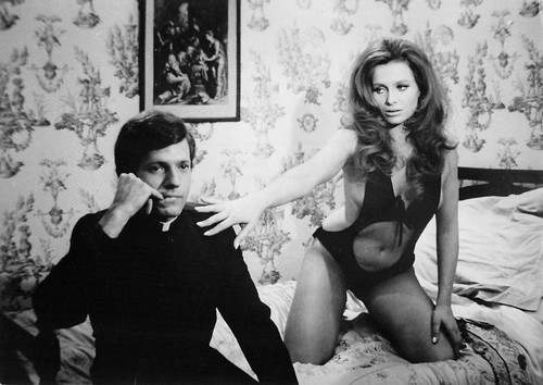 Erika blanc nuit - diable, photo