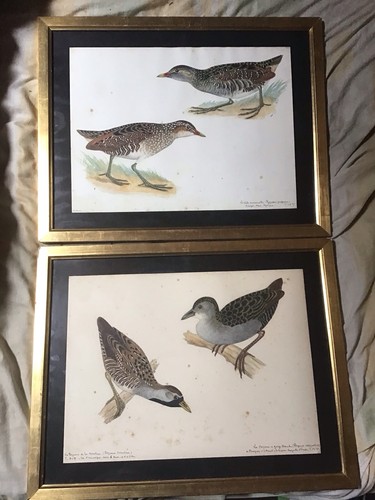 Tableaux dessins anciens - tableaux,
