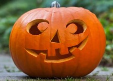 15 graines de citrouille