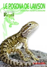 Le pogona de Lawson: Pogona