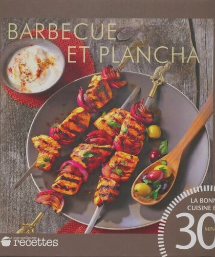 Barbecue plancha - barbecue,