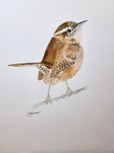 Troglodyte mignon aquarelle - mignon-,