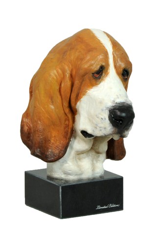 Chien basset hound - chien,