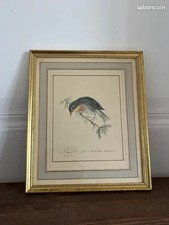 Estampe vintage 1950 Rossignol