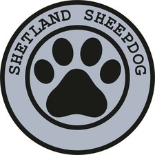 Shetland Berger Patte Animal