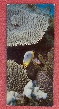 Nestlé WONDERS OF THE WORLD Card No. 162 LES CORAUX Chocolate Image Vintage