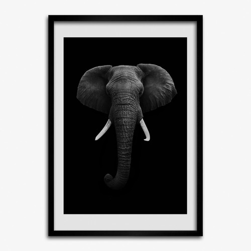 Photo mdf 70x100cm cadre - 70x100cm,