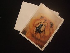 LOT de 6 CARTES + ENVELOPPES -