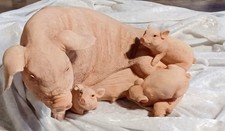 Cochon  allaitant ses 3