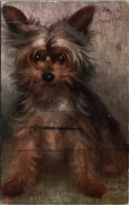 *40181 cpa animals - chien