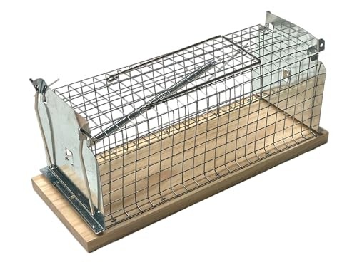 Caussade nasse rats - nasse,